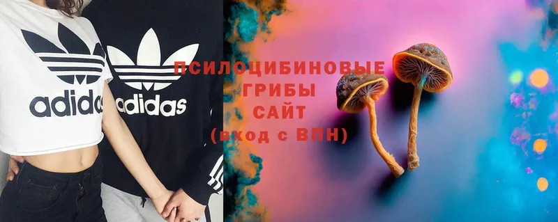 Псилоцибиновые грибы Magic Shrooms  Люберцы 